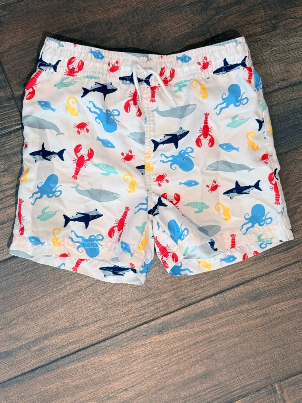 Janie and Jack Swim Trunk